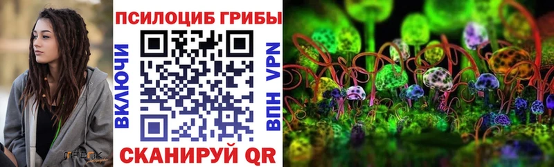 блэк спрут tor  Малая Вишера  Галлюциногенные грибы Psilocybe  сколько стоит 